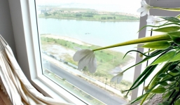 Homestay Hạ Long view hướng biển thơ mộng như thiên đường